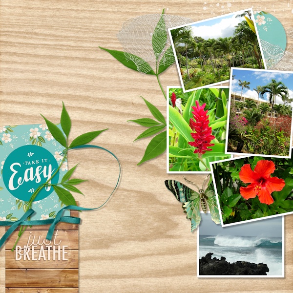 06Hawaii01
