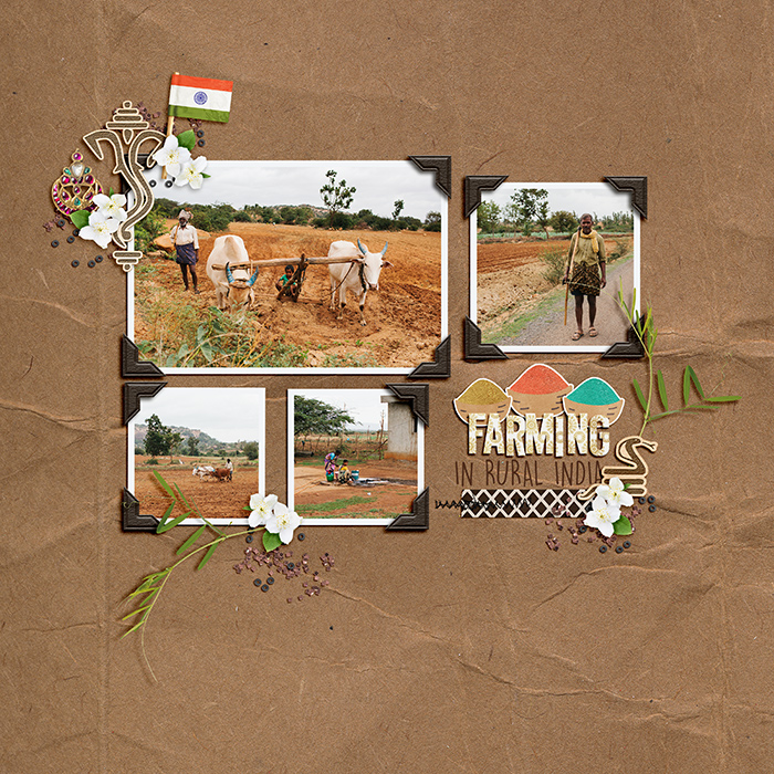 07-2018-India-Farming-web