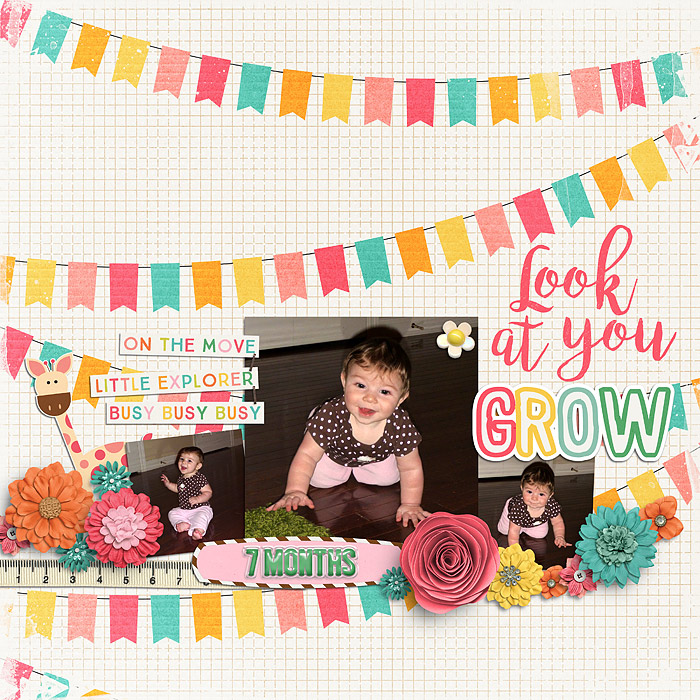 11-11-5-look-at-you-grow