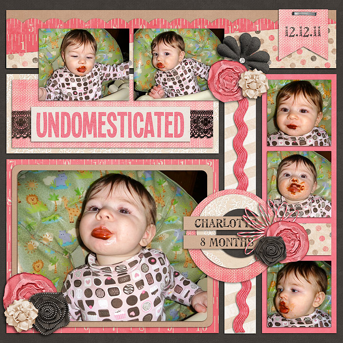 11-12-12-undomesticated700