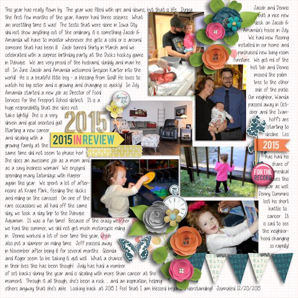 12_20_15_YEAR_IN_REIVEW