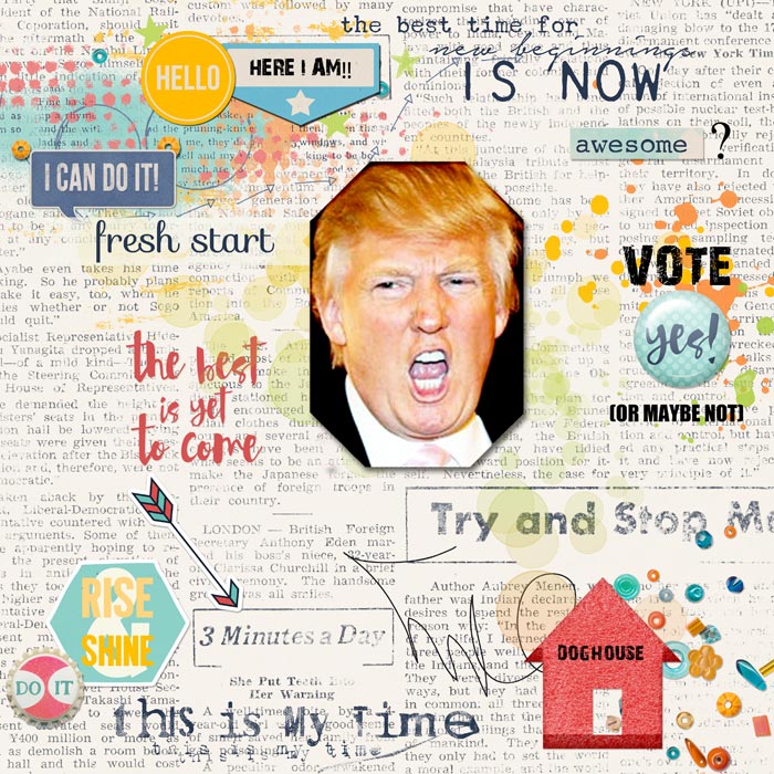 15-in-the-news