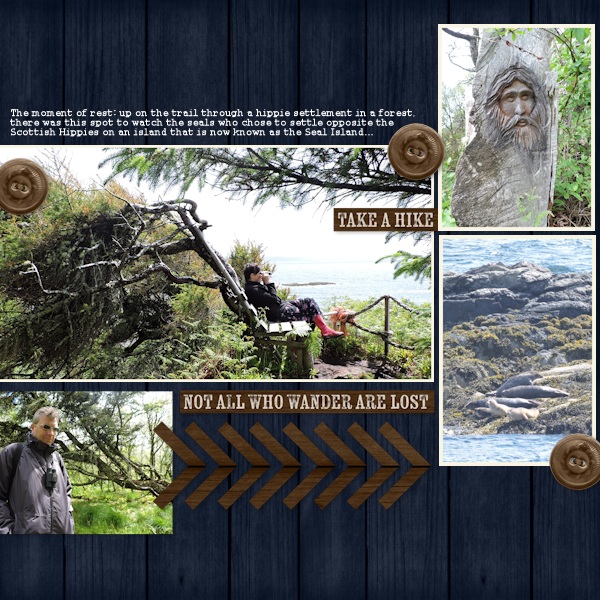15jun_Scotland_seals01