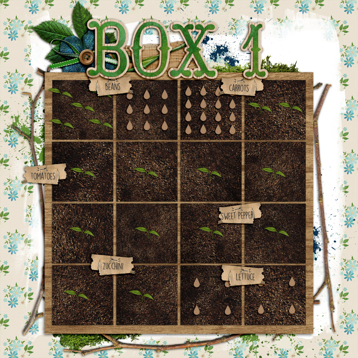 16-PL-May-garden-box-a