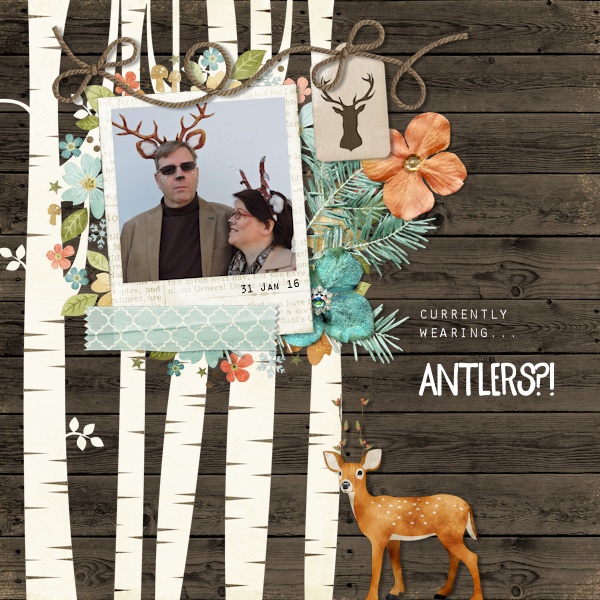 16jan31_Antlers