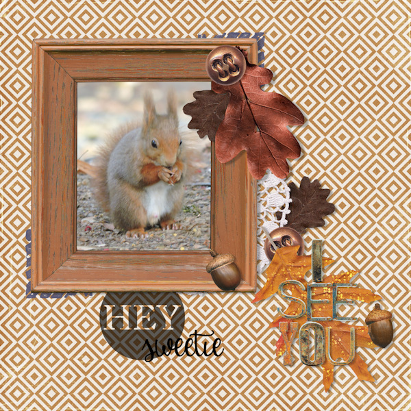 17oct29_Squirrel01