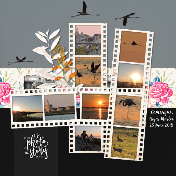 18jun25_sunset