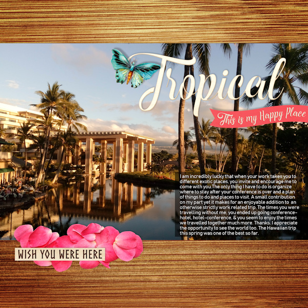 18mar26_Waikoloa04