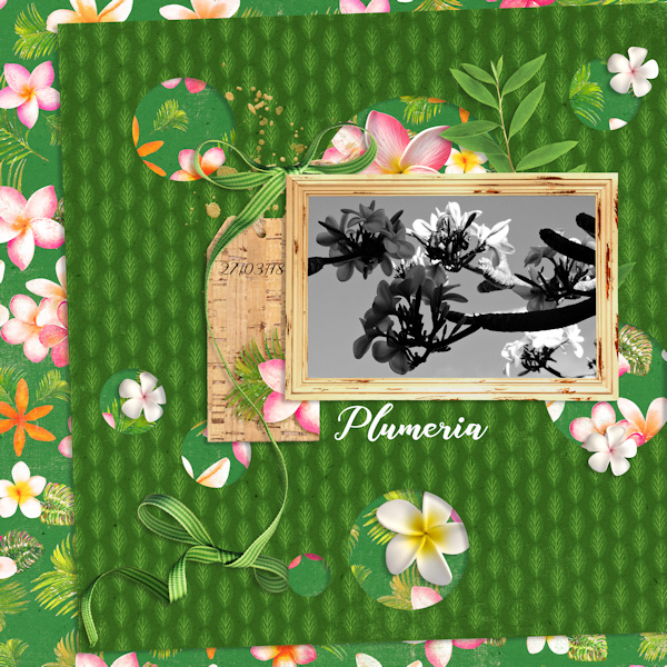 18mar27_plumeria