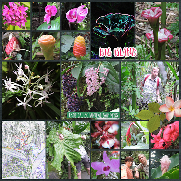 18mar30_garden03