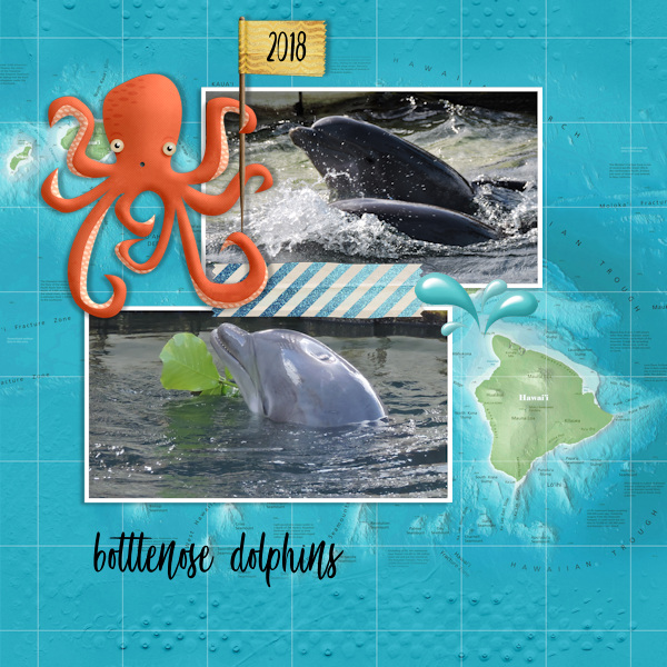 18mar_dolphins01