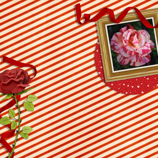 18may_new_rose