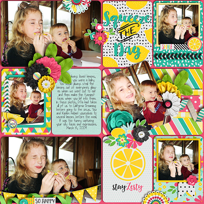 2009-03-14_Lemons_WEB1