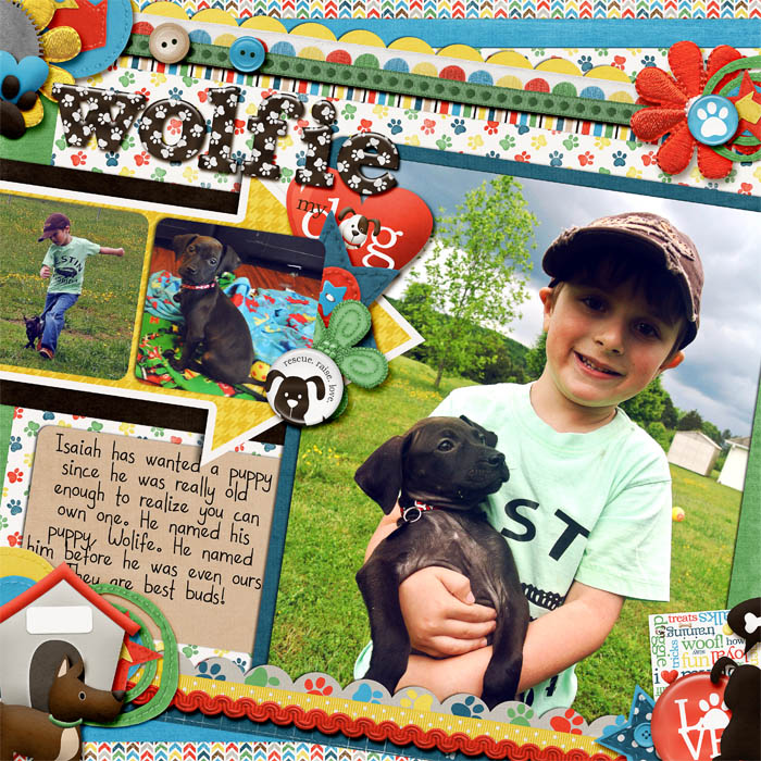 2013_wolife_web