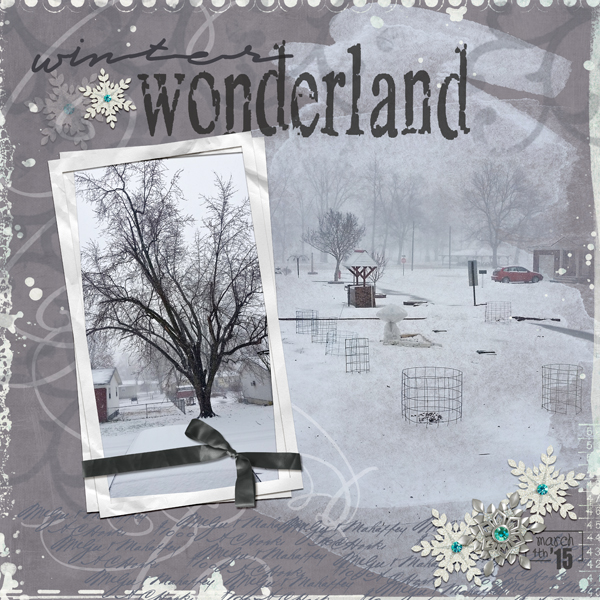 2015-03-04-WinterWonderland-SSD-web