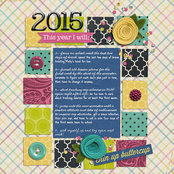 2015-this-year-i-will700250
