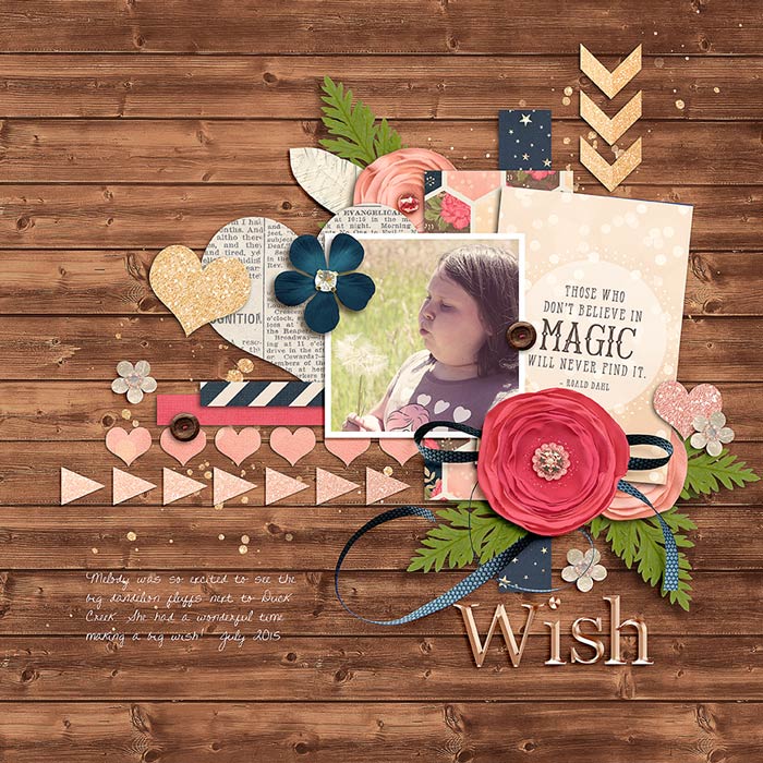 2015_07_Wish