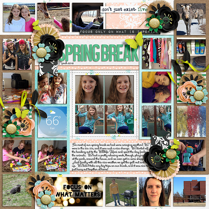 2015marchspringbreak700
