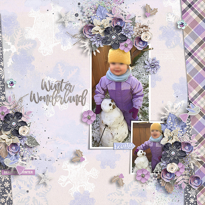 2017-0101-winter-wonderland