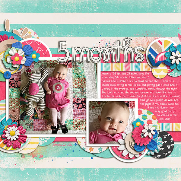 2017-01_5_months
