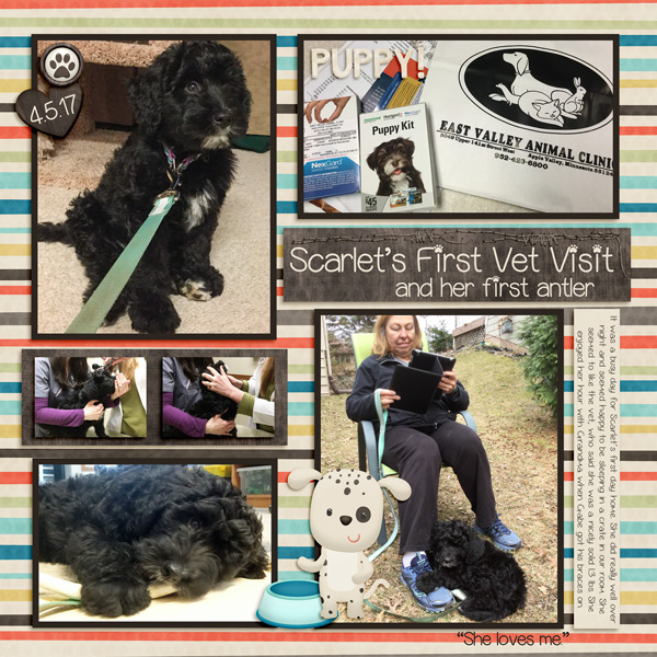 20170405-Scarlet-at-the-vet-iNSD-scraplift