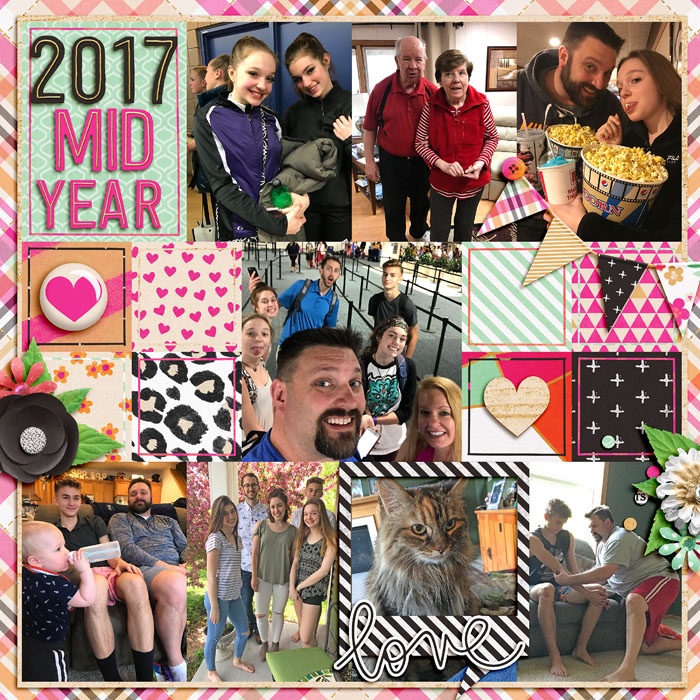 2017_mid_year