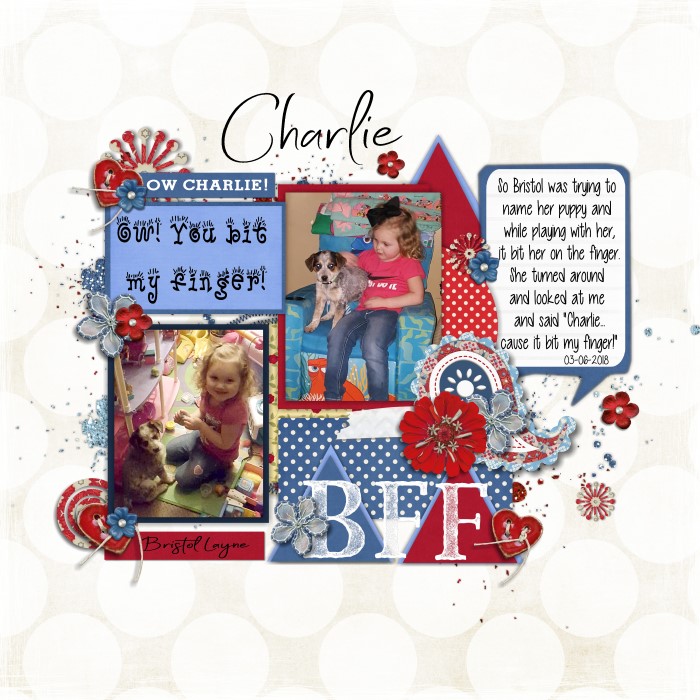 20180306_Charlie_Custom_
