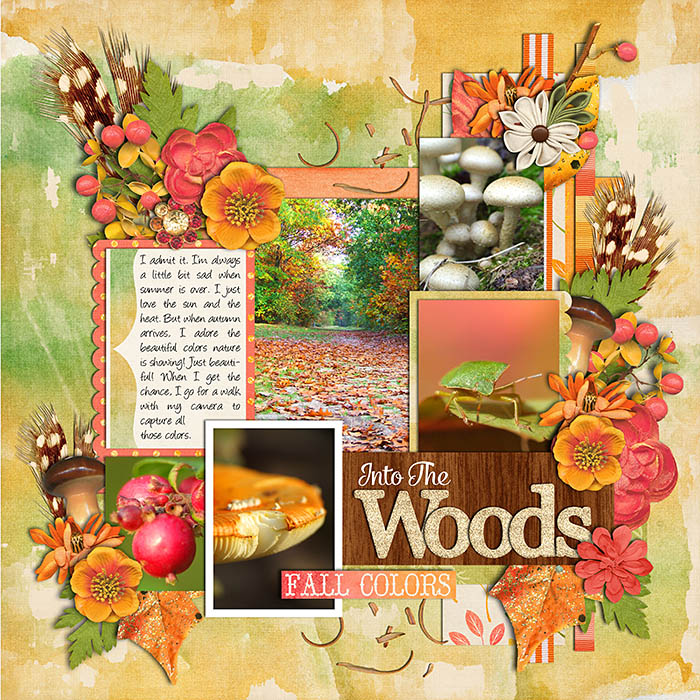 23_-_Into_The_Woods_Small