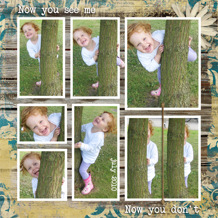 3-weatheredwood-nowyouseeme-gerli