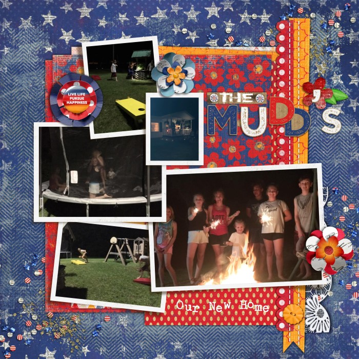 8_Fireworks-Night_Skies2_Custom_
