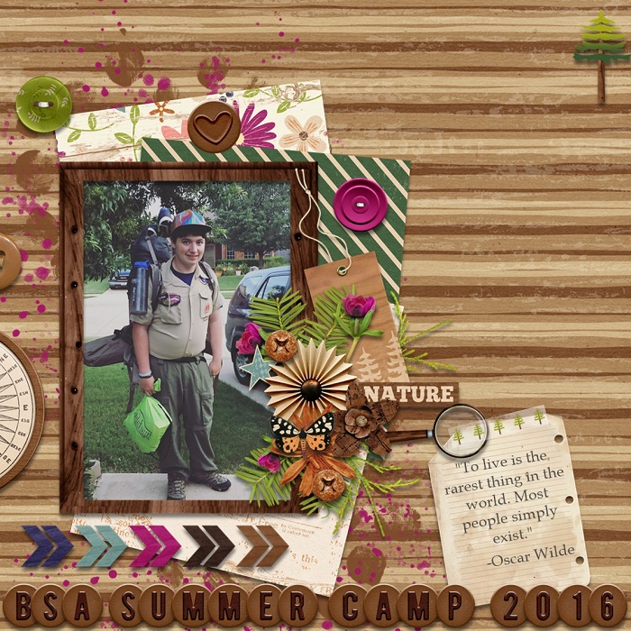 BSA_Summer_Camp_2016_SSD