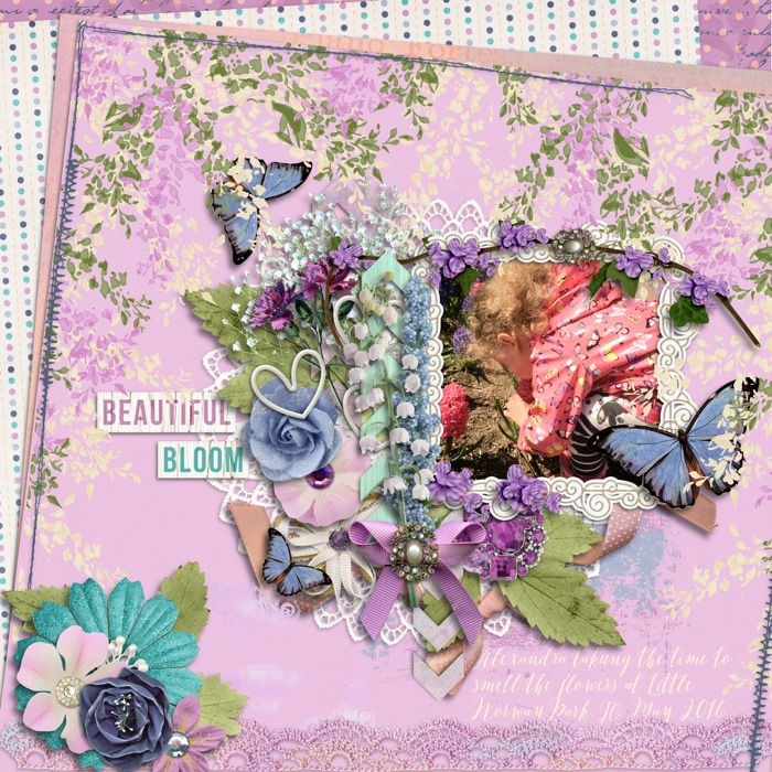 Beautiful_Bloom