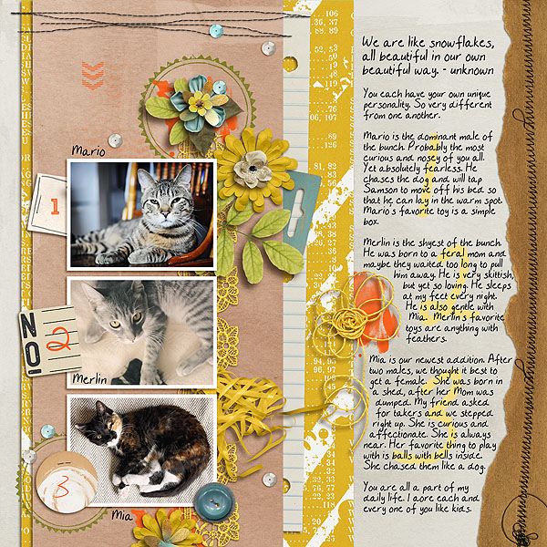 Cats1