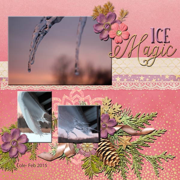 Cole-snow---feb-15