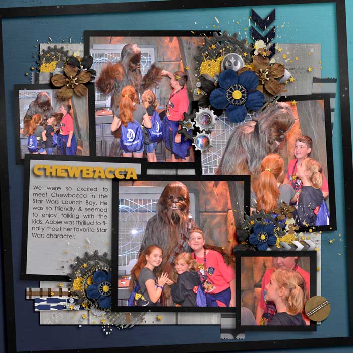 DL16-CHEWBACCA