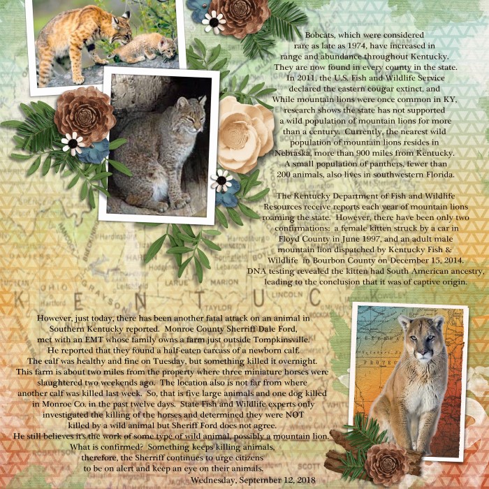 DSI_goexplore_KY_CATS-pg2_Custom_