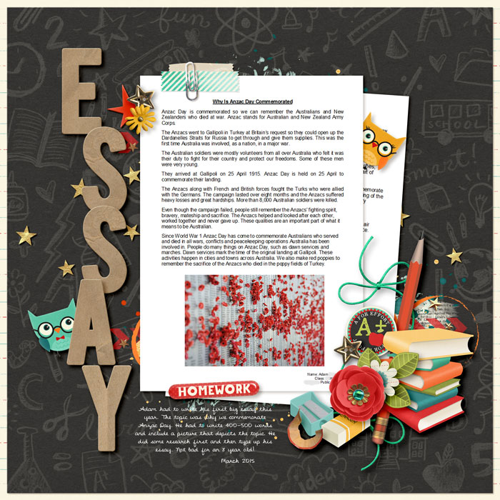 Essay
