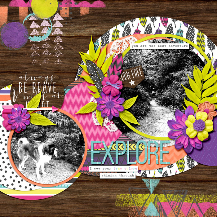 Explore_