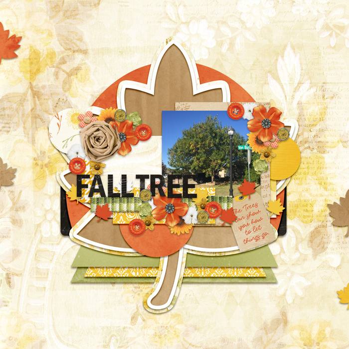 Fall-Tree-2017