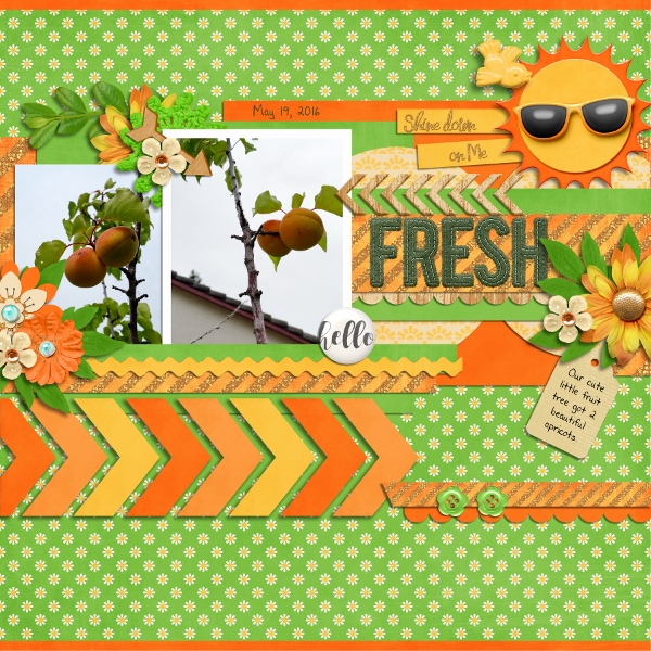 Family2016_Fresh_600x600_