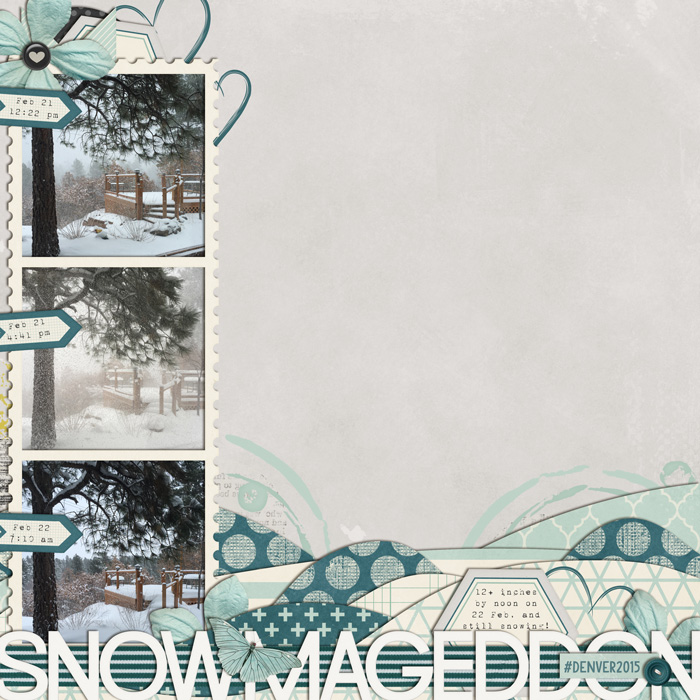 Feb2015_bingo_caliten_snomageddon