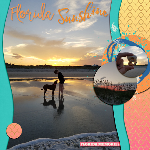 Florida-Sunshine1