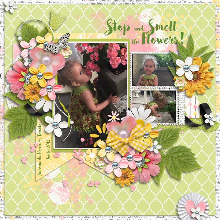 Flowers8