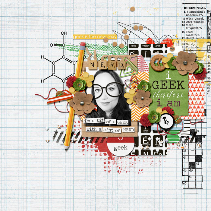 Geek4