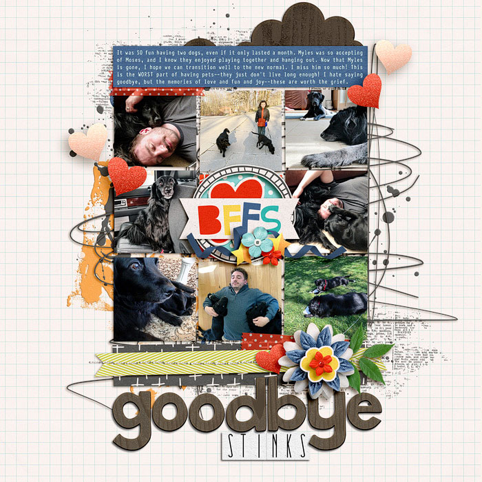 Goodbye-Stinks