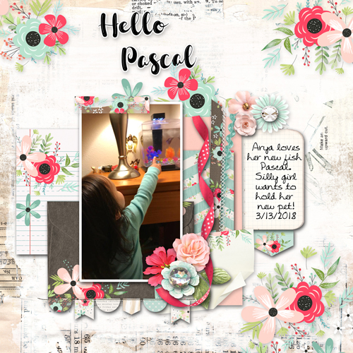 Hello_Pascal1