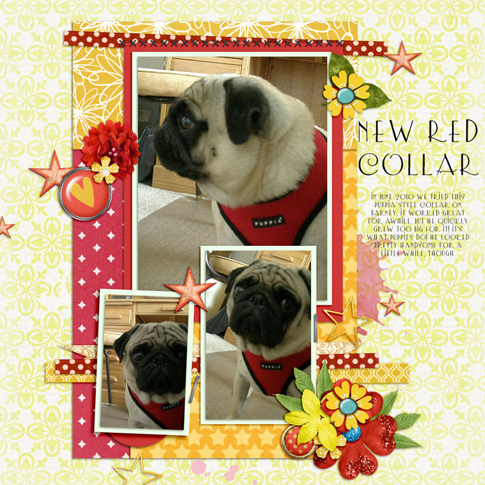 I24-redcollar