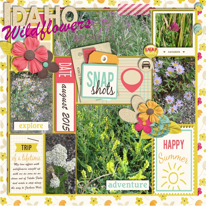 Idaho_Wildflowers