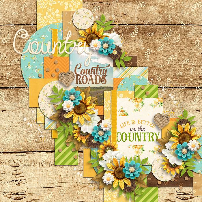Inthecountrysd
