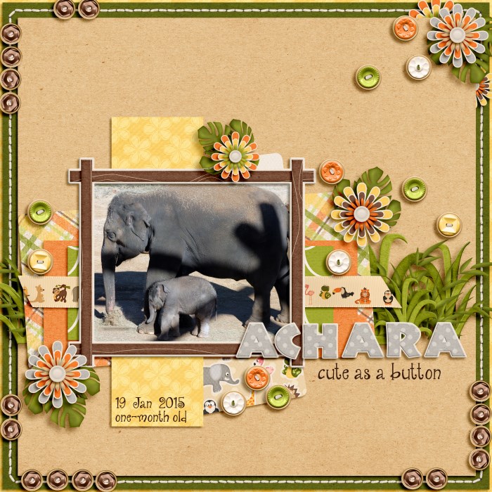 JBernardo_cookie101_102008_700_x_700_